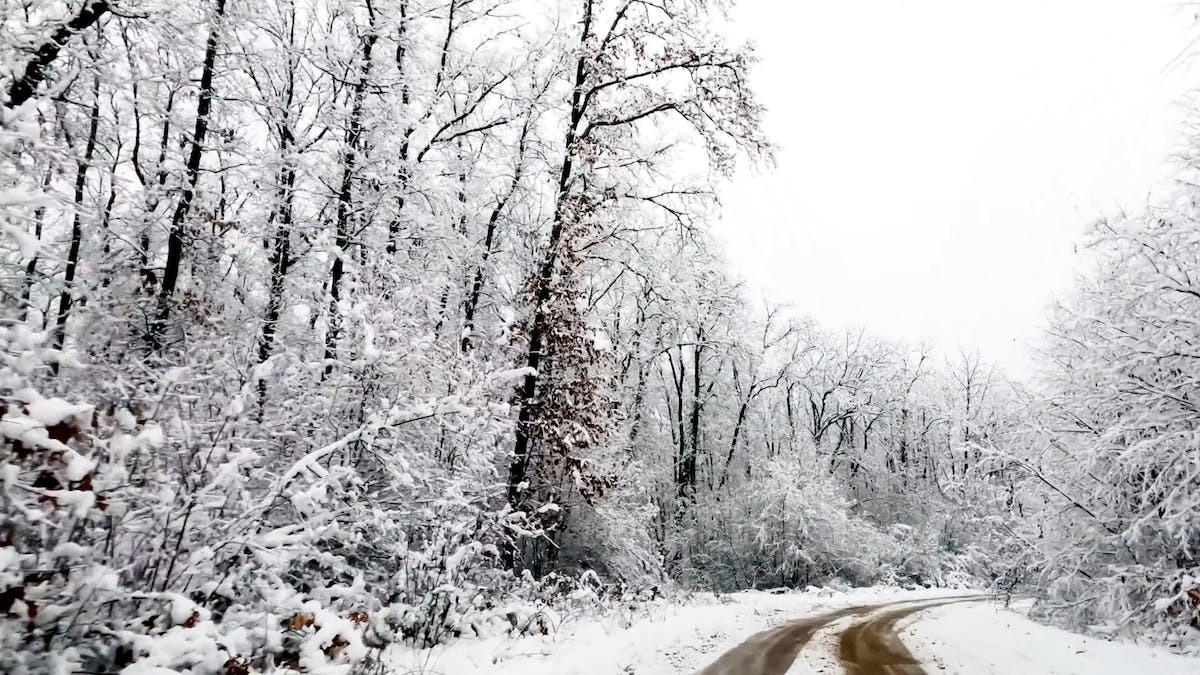 conduite hivernale